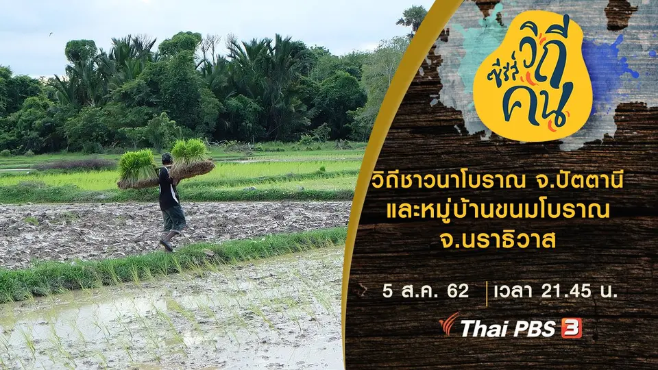 ซีรีส์วิถีคน