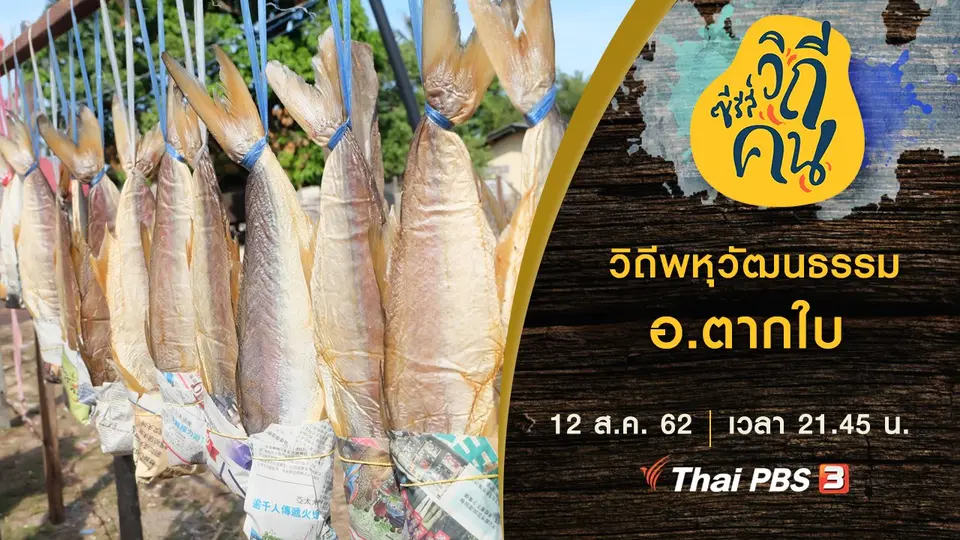 ซีรีส์วิถีคน