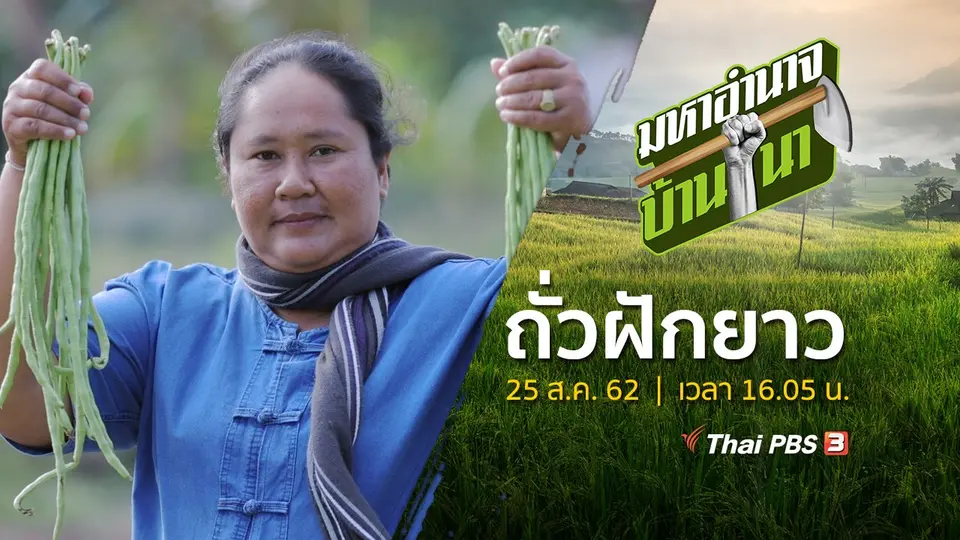 ถั่วฝักยาว