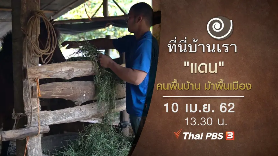 "แดน" คนพื้นบ้าน ม้าพื้นเมือง