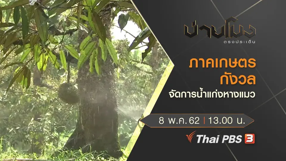 ประเด็นข่าว (8 พ.ค. 62)