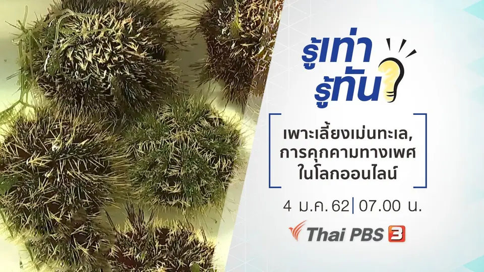 นวัตกรรมเพาะเลี้ยงเม่นทะเล, การคุกคามทางเพศในโลกออนไลน์