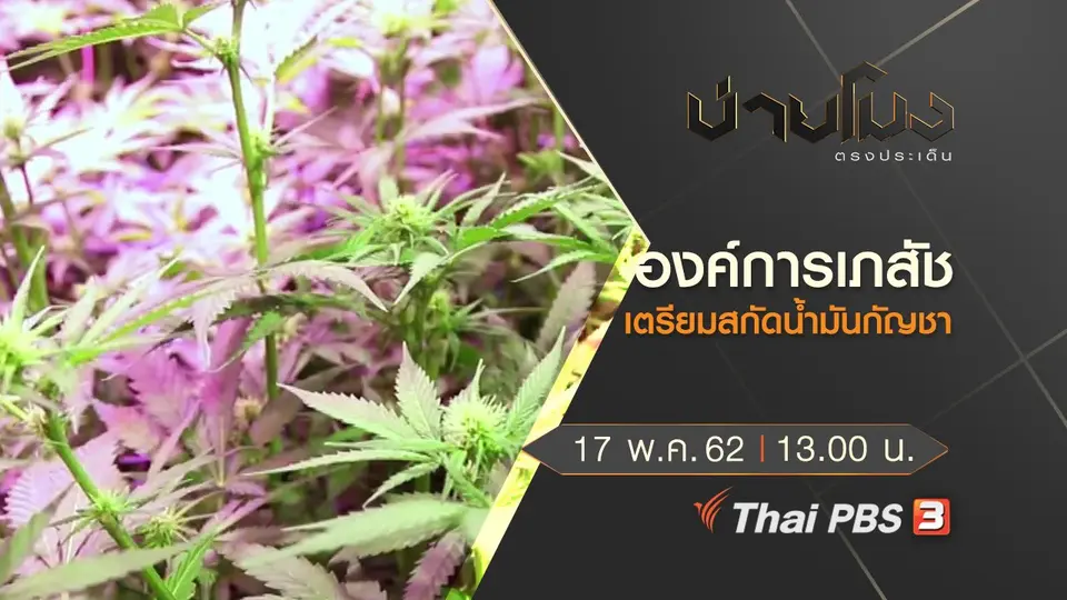 ประเด็นข่าว (17 พ.ค. 62)