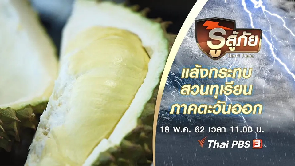 แล้งกระทบสวนทุเรียนภาคตะวันออก