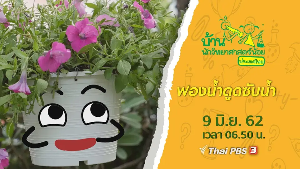 ฟองน้ำดูดซับน้ำ