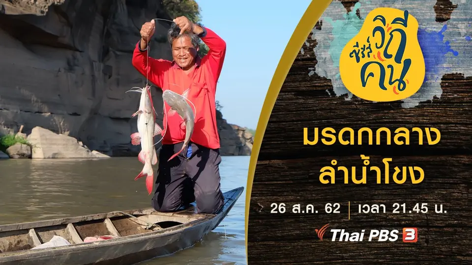 ซีรีส์วิถีคน