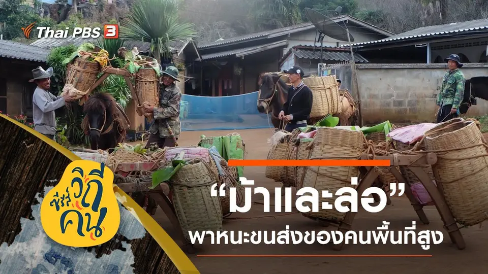 ซีรีส์วิถีคน