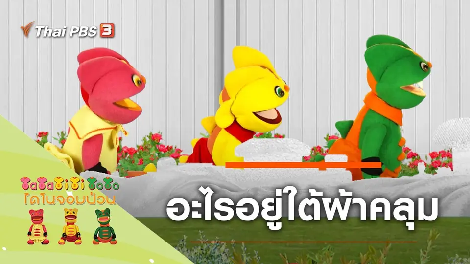อะไรอยู่ใต้ผ้าคลุม