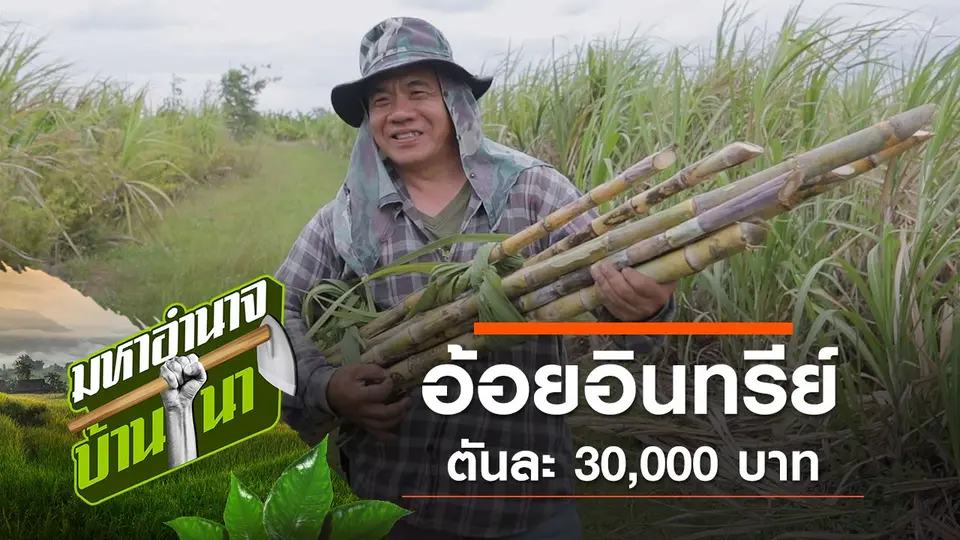 อ้อยอินทรีย์ตันละ 30,000 บาท