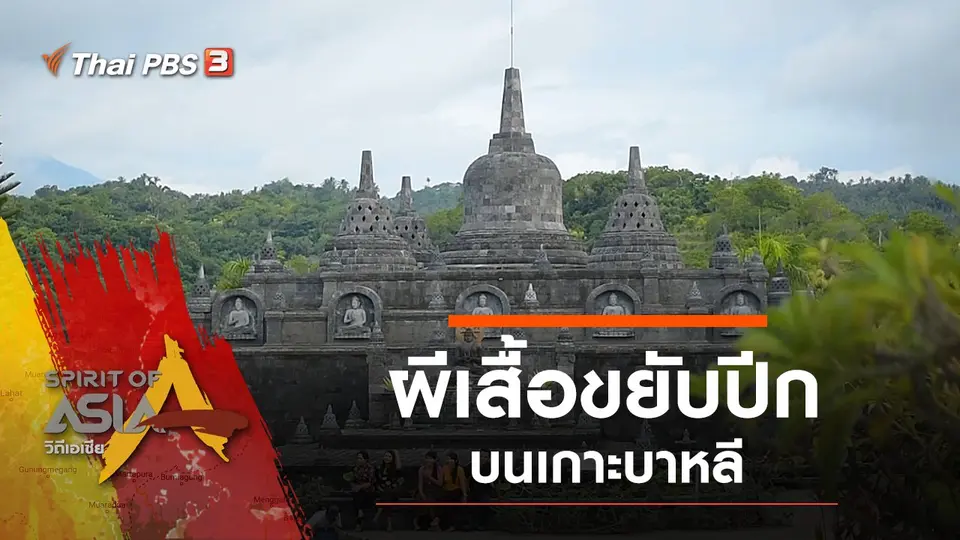 ผีเสื้อขยับปีกบนเกาะบาหลี