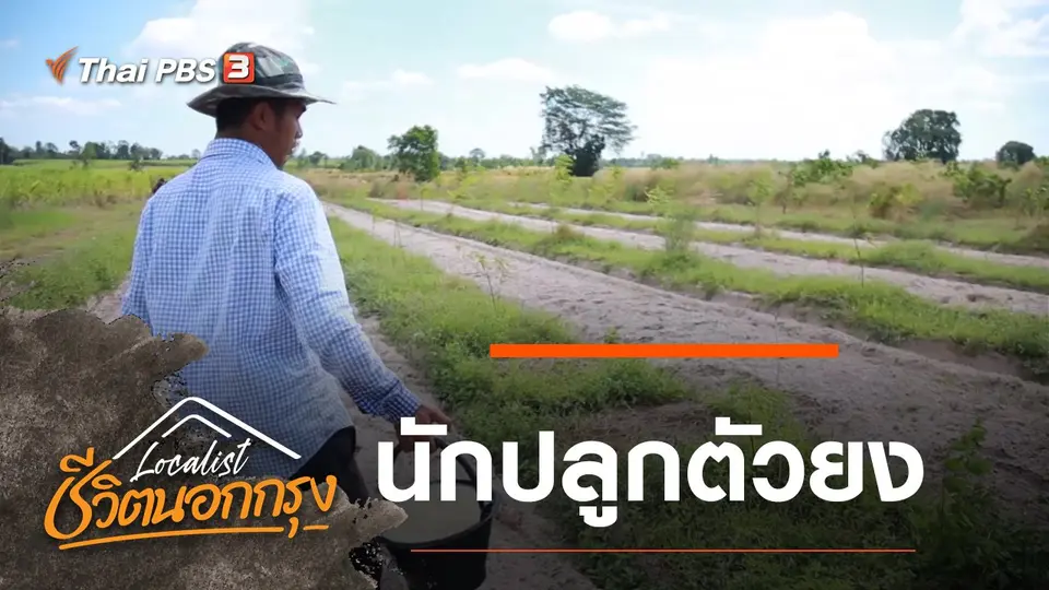 นักปลูกตัวยง