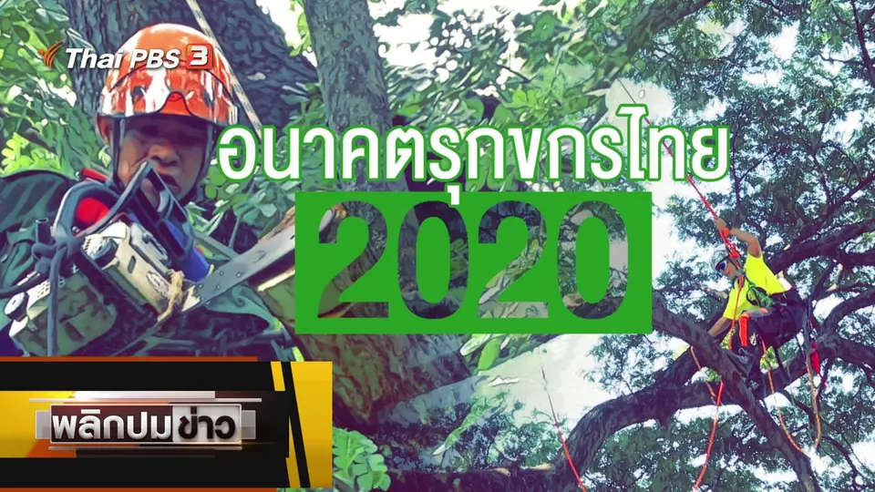 อนาคตรุกขกรไทย 2020
