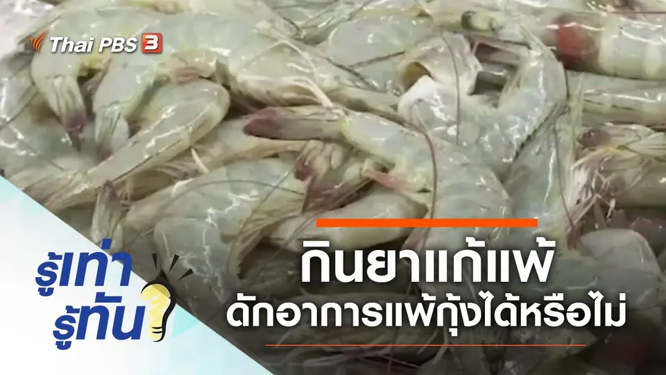กินยาแก้แพ้ ดักอาการแพ้กุ้งได้จริงหรือไม่
