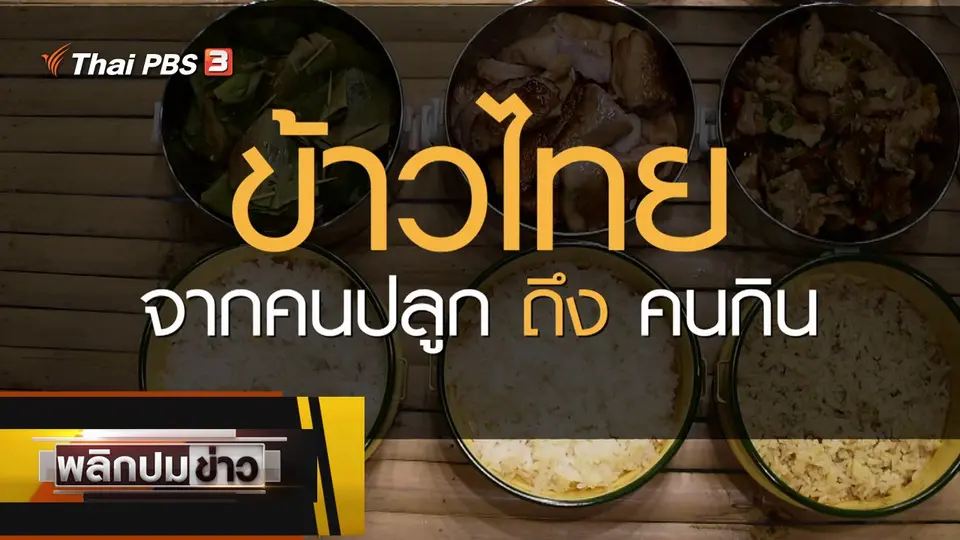 ข้าวไทย จากคนปลูกถึงคนกิน