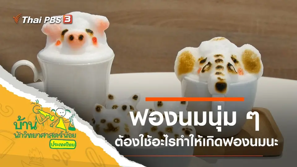 ฟองนมนุ่ม ๆ