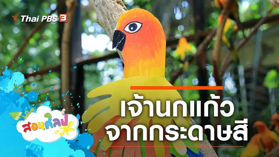 นกแก้วสีสด