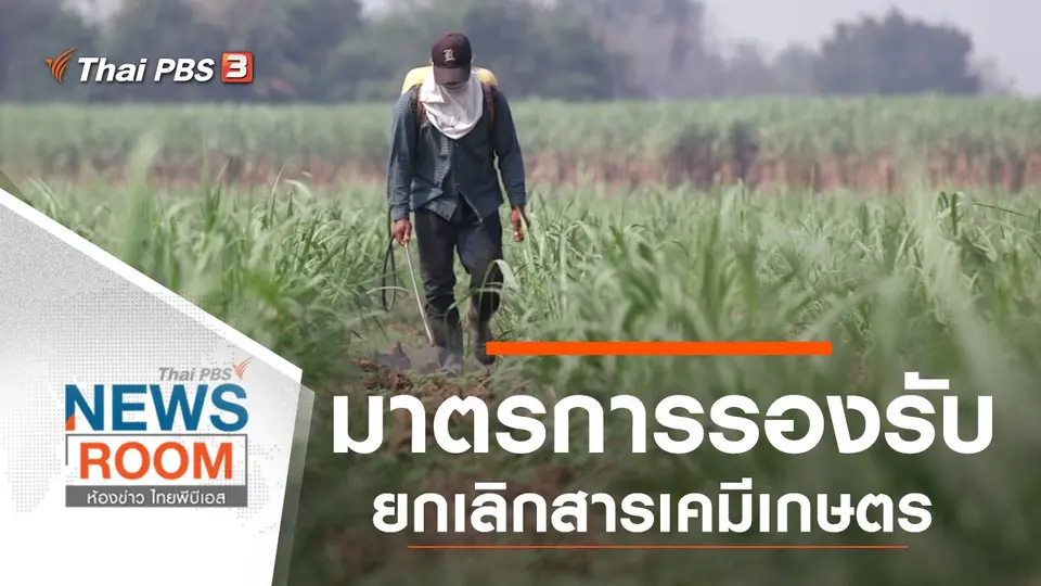 ประเด็นข่าว (13 ต.ค. 62)