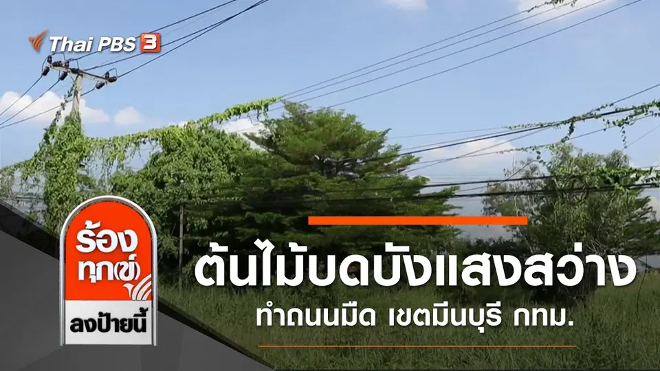 ต้นไม้บดบังแสงสว่าง ทำถนนมืด เขตมีนบุรี กทม.