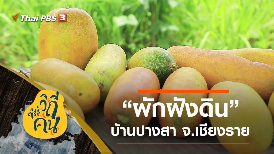 ซีรีส์วิถีคน