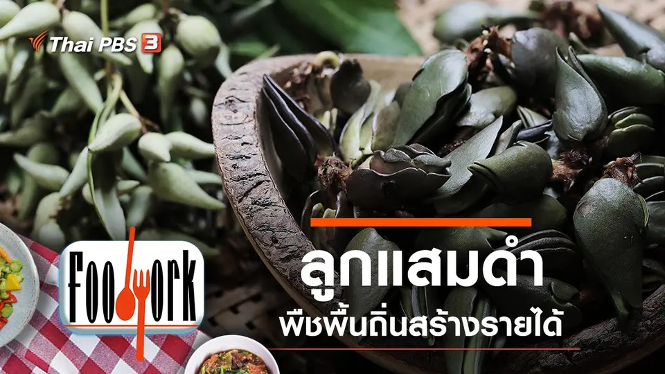 ลูกแสมดำ