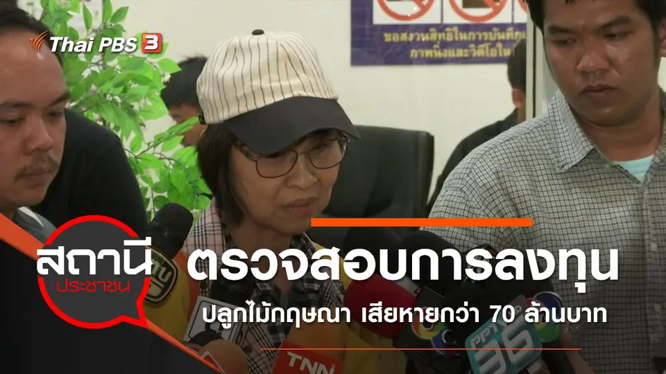 ตรวจสอบการลงทุนปลูกไม้กฤษณา เสียหายกว่า 70 ล้านบาท