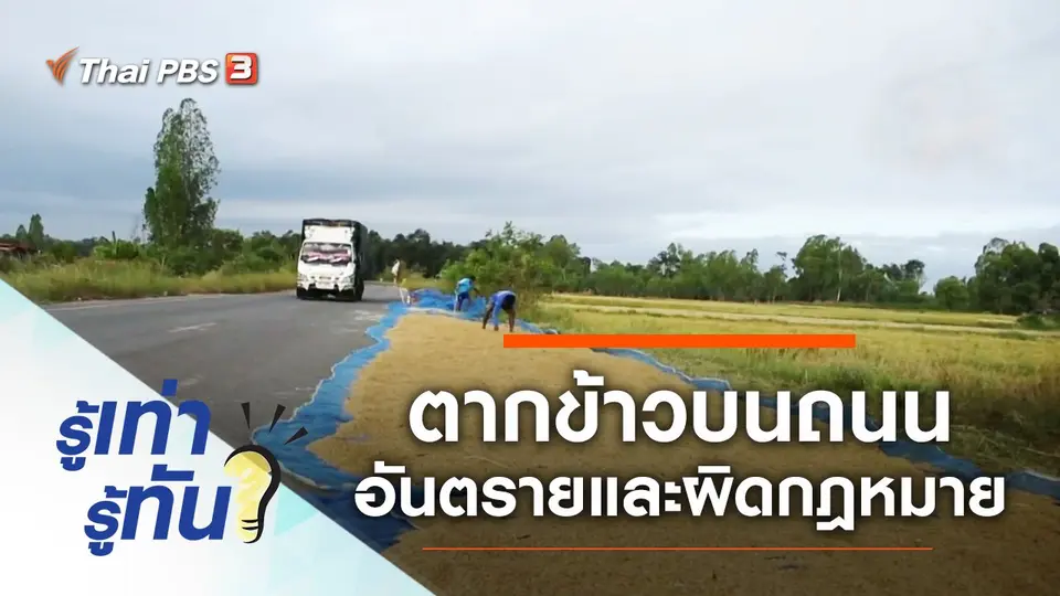 ตากข้าวบนถนน อันตราย ผิดกฎหมาย เสี่ยงได้นอนคุก