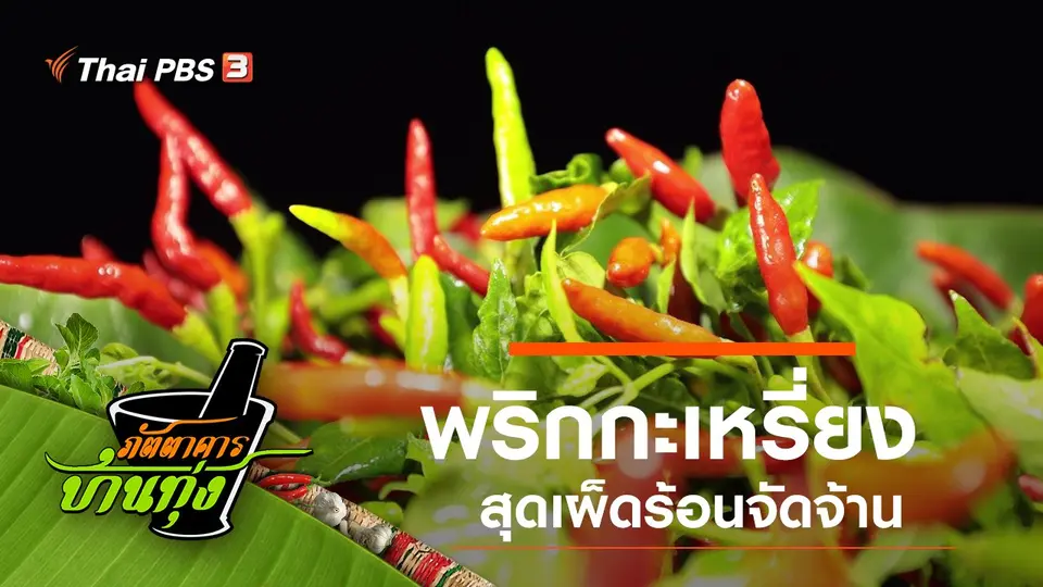 พริกกะเหรี่ยง