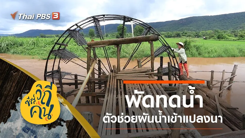 ซีรีส์วิถีคน