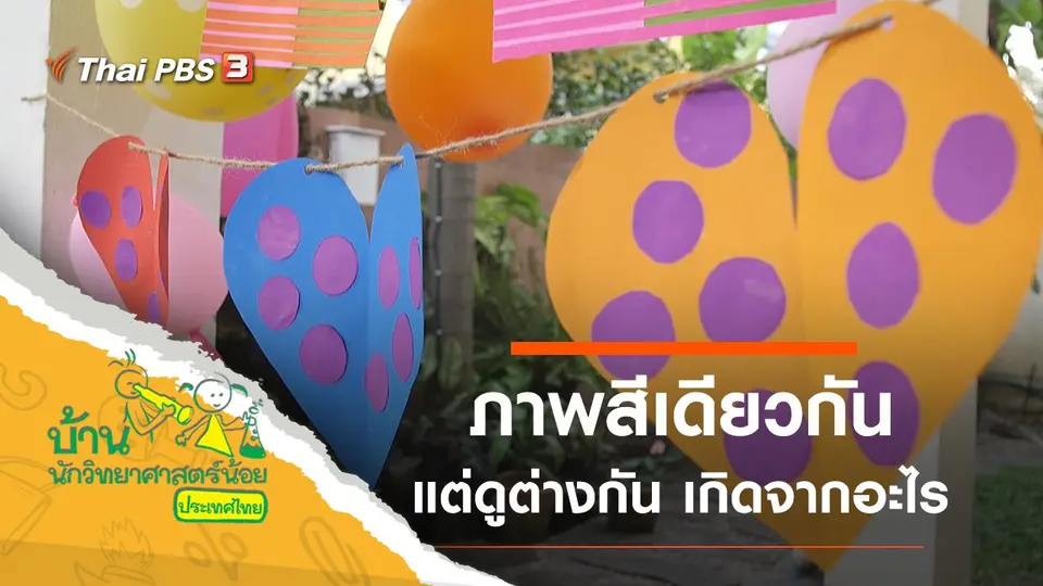 ภาพสีเดียวกันแต่ดูต่างกัน