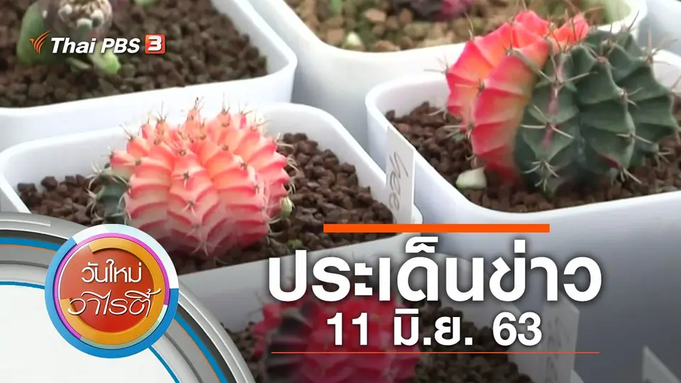 วันใหม่วาไรตี้