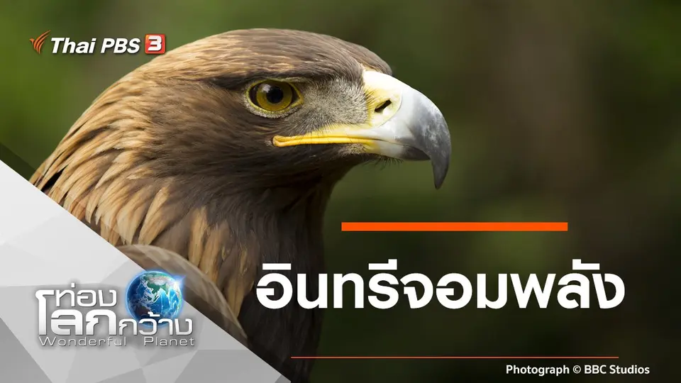 ท่องโลกกว้าง