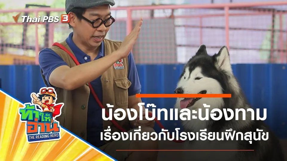 โรงเรียนฝึกสุนัข : น้องโบ๊ทและน้องทาม