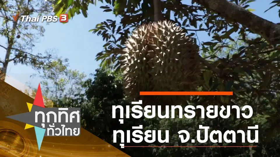 ทุกทิศทั่วไทย