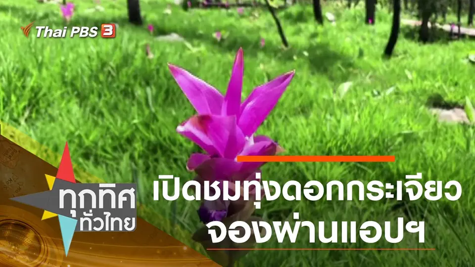 ทุกทิศทั่วไทย