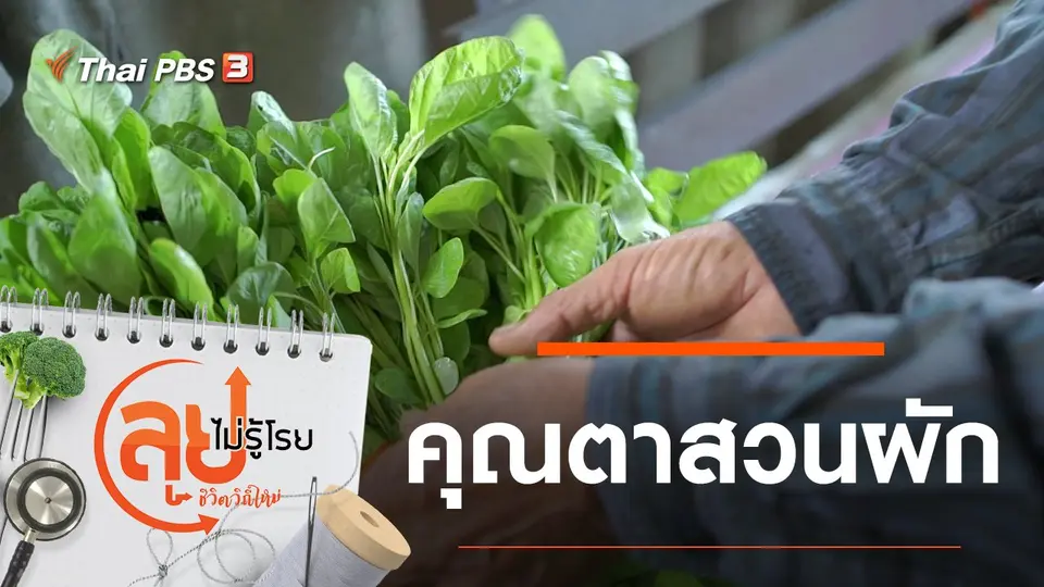 คุณตาสวนผัก