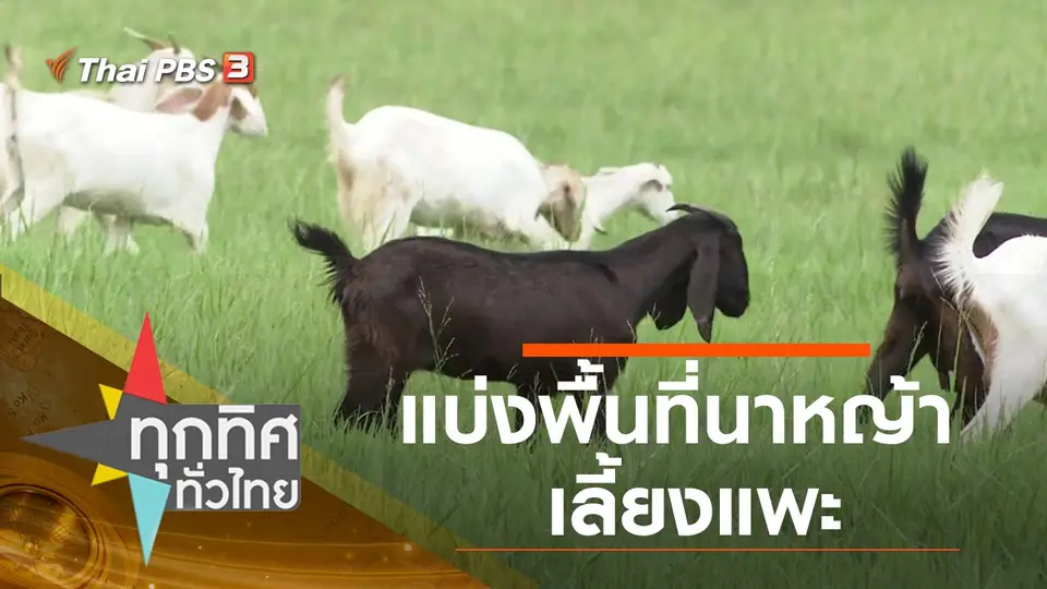 ทุกทิศทั่วไทย