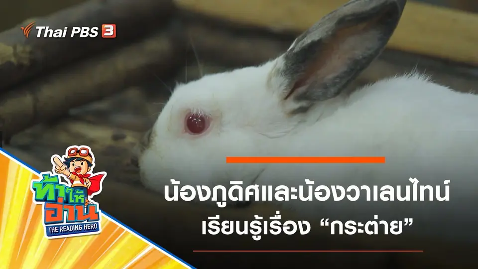 กระต่าย : น้องภูดิศและน้องวาเลนไทน์