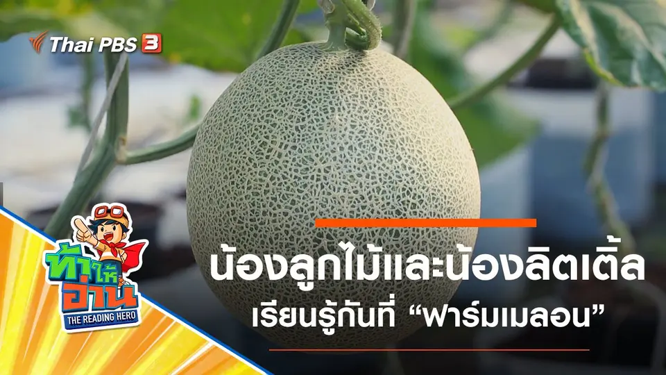 ฟาร์มเมลอน : น้องลูกไม้และน้องลิตเติ้ล