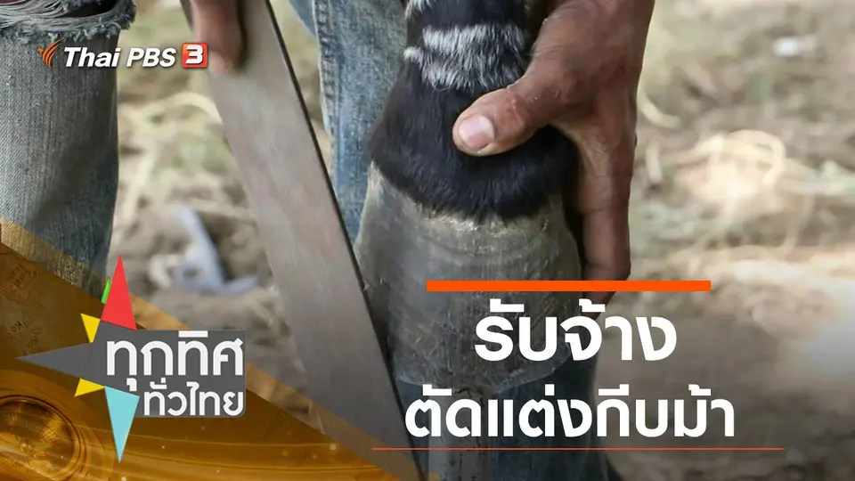 ทุกทิศทั่วไทย