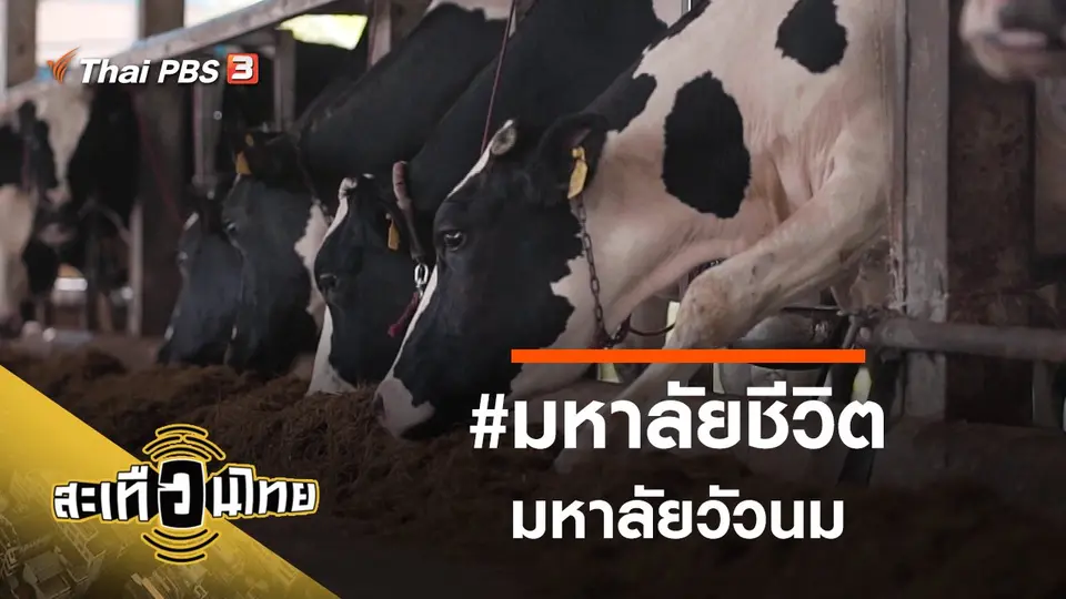 สะเทือนไทย