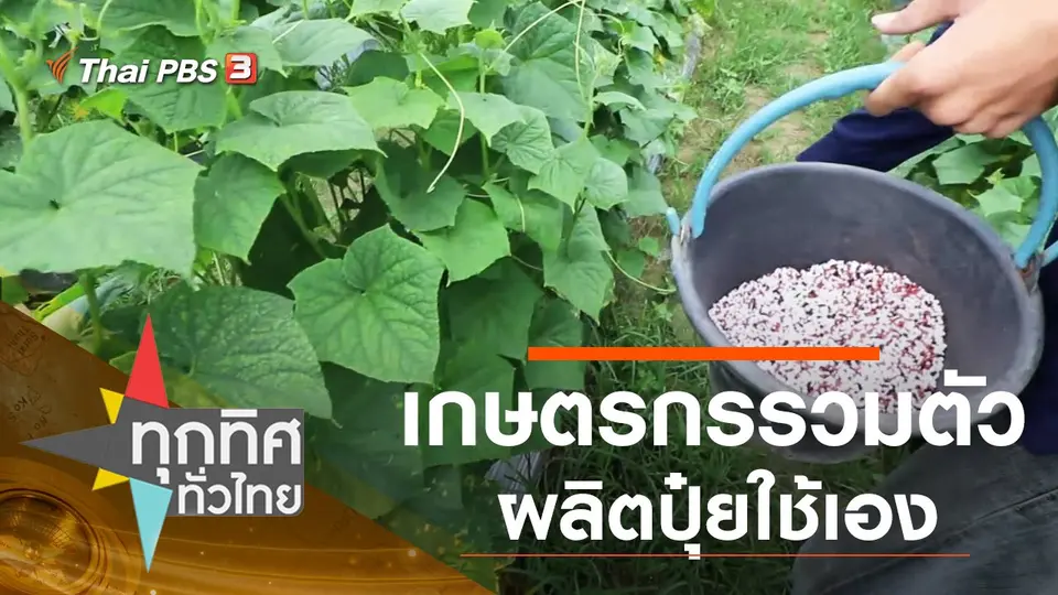 ทุกทิศทั่วไทย