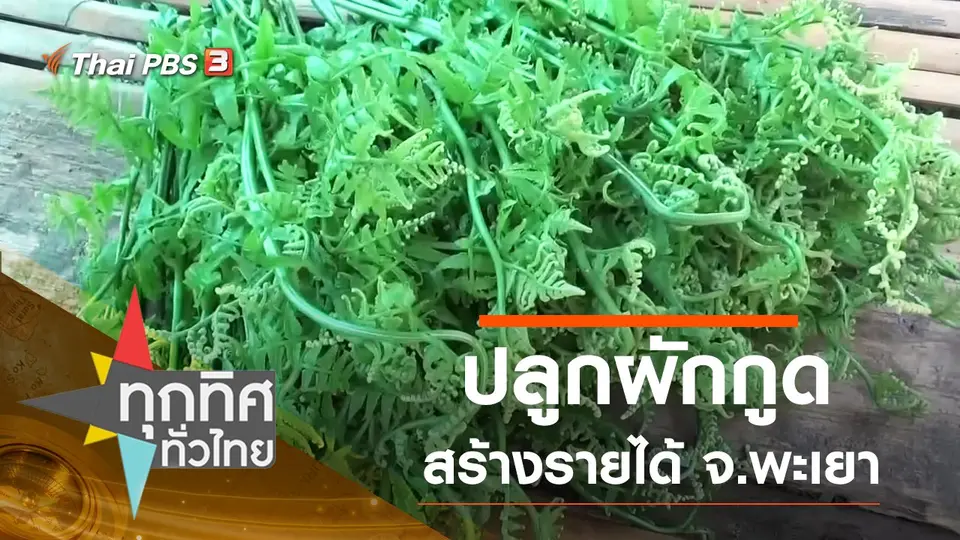 ทุกทิศทั่วไทย