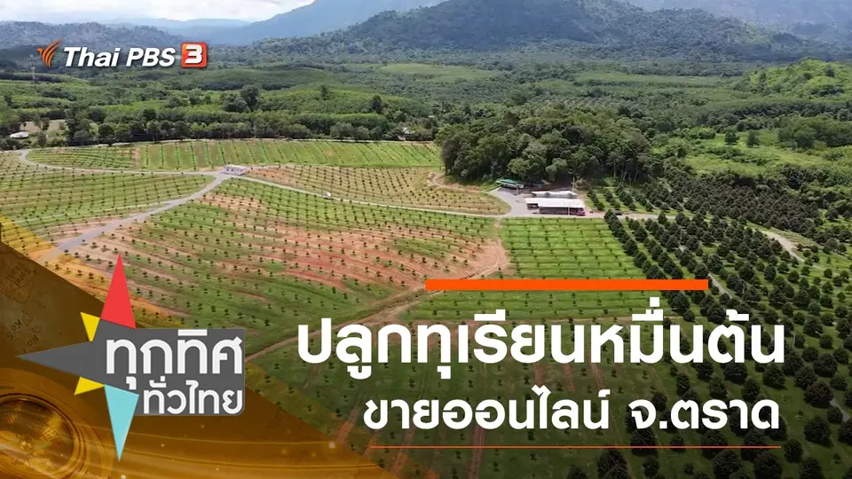 ทุกทิศทั่วไทย