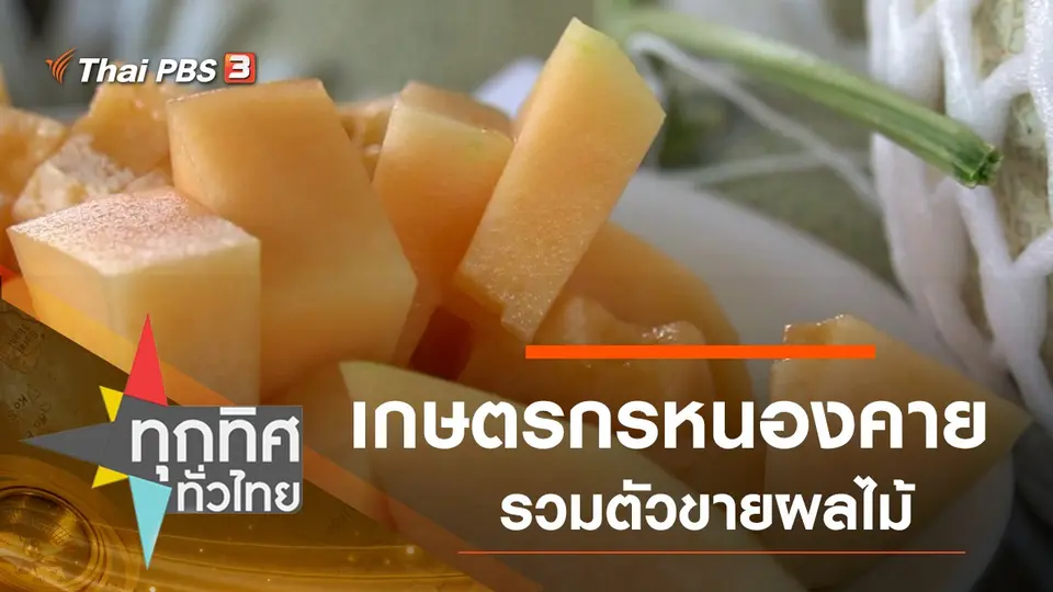 ทุกทิศทั่วไทย