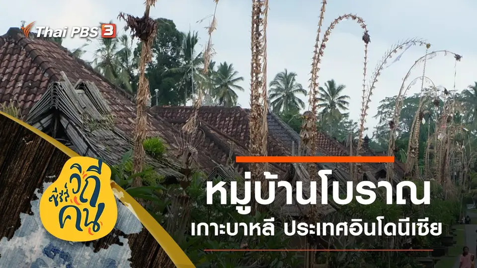 ซีรีส์วิถีคน