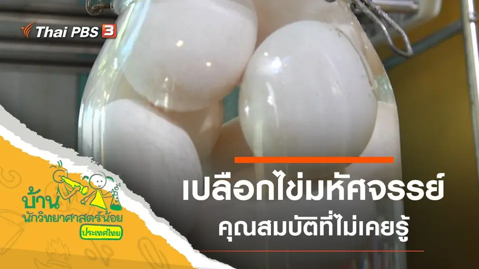 เปลือกไข่มหัศจรรย์