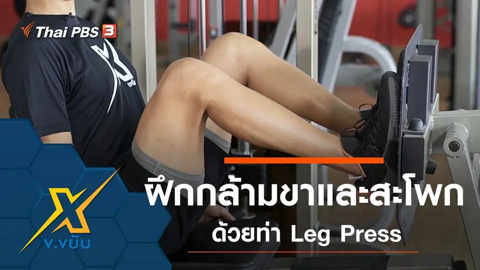 ฝึกกล้ามขาและสะโพกด้วยท่า Leg Press