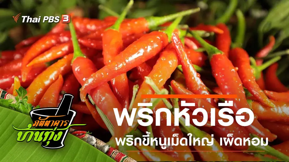 พริกหัวเรือ