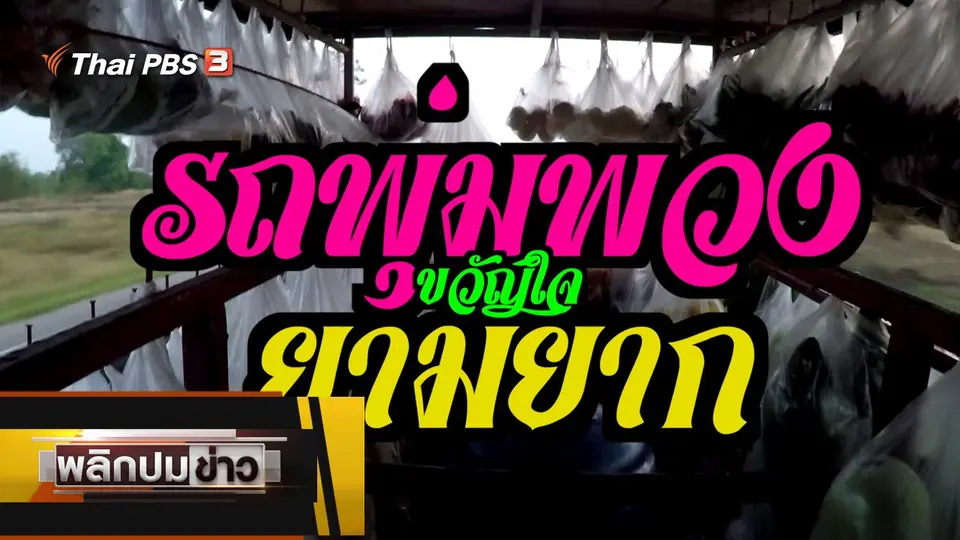 รถพุ่มพวง ขวัญใจยามยาก
