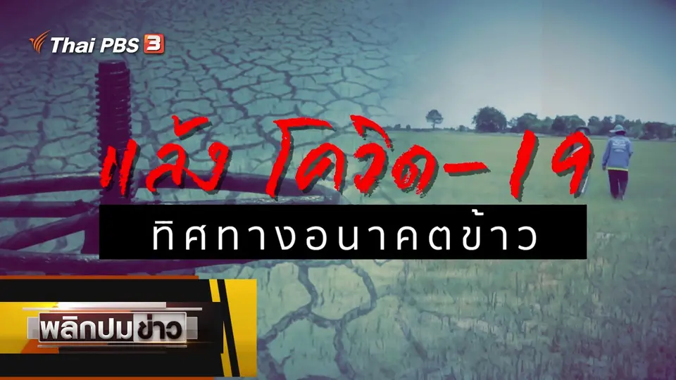 แล้งโควิด-19 ทิศทางอนาคตข้าว